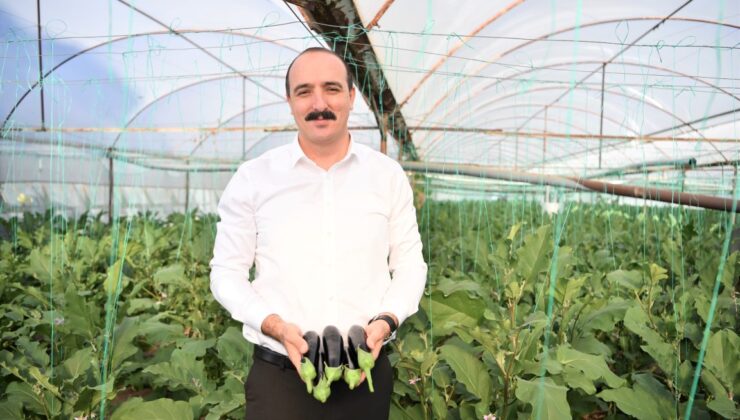 Doyran Patlıcan Şenliği Başlıyor