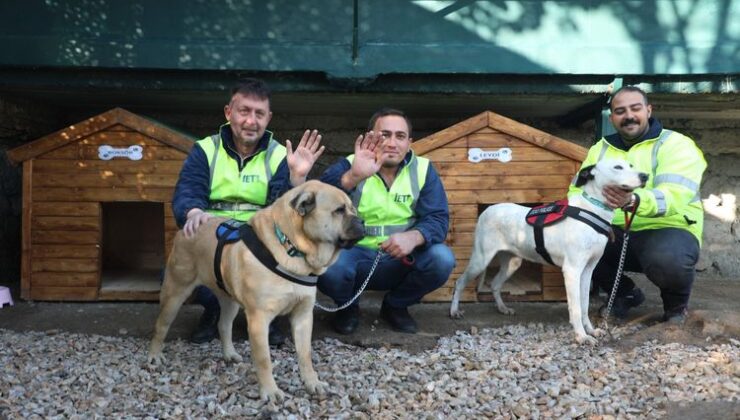 İETT’nin Patili Dostlar Ailesi Büyüyor