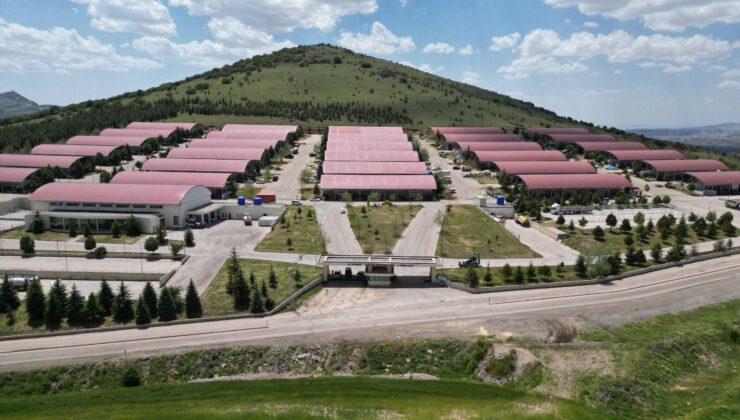 Altındağ Kurban Bayramı’na Hazır