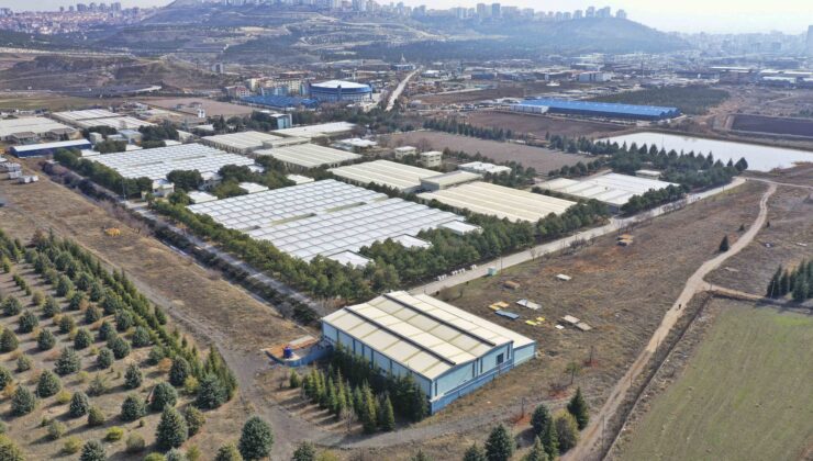 İvedik Arıtma Tesisi Büyüyor