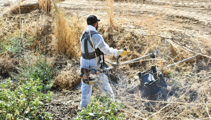 Mamak Kırsalı Hayat Buluyor