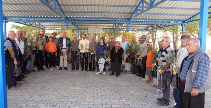 Alanya Belediyesi Yangın Bölgesindeki Bahçe Sahiplerine 3400 Zeytin Fidanı Dağıttı