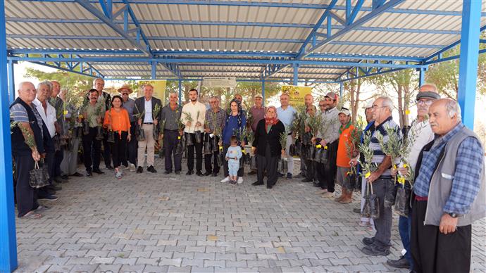 Alanya Belediyesi Yangın Bölgesindeki Bahçe Sahiplerine 3400 Zeytin Fidanı Dağıttı