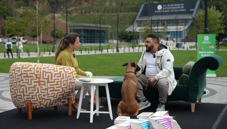 Türkiye’de Her Üç Kişiden Biri Ruhsal Bir Sorunla Mücadele Ediyor
