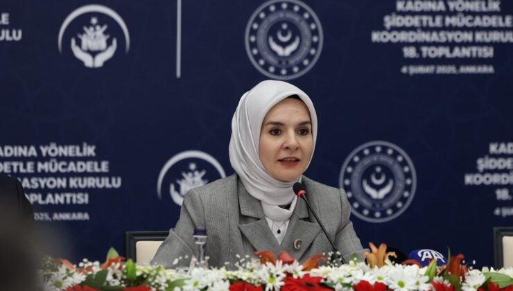 “Türkiye’de Kadına Yönelik Şiddet Araştırması” Tamamlandı