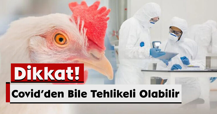Dikkat! Covid’den Bile Tehlikeli Olabilir