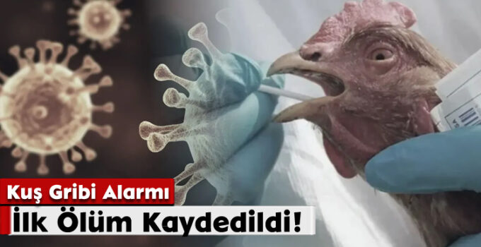 Kuş Gribi Alarmı: İlk Ölüm Kaydedildi!