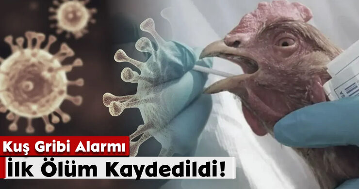 Kuş Gribi Alarmı: İlk Ölüm Kaydedildi!