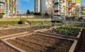 Maltepe’nin Çifte Ödüllü “Çocuk Tarım Parkı”na AB’den Tam Not