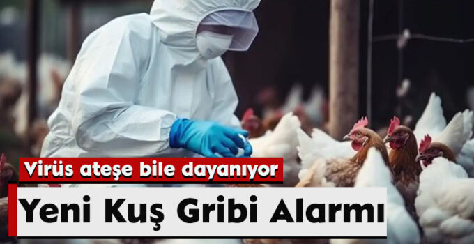 Yeni Kuş Gribi Alarmı: Virüs Ateşe Bile Dayanıyor