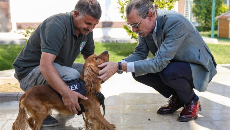 Ataması Yapılan İlk Can Dostu “Alex”