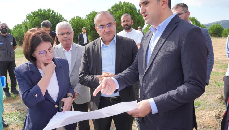 Sokak Hayvanları İçin 80 Bin M2’lik Rehabilitasyon Merkezi