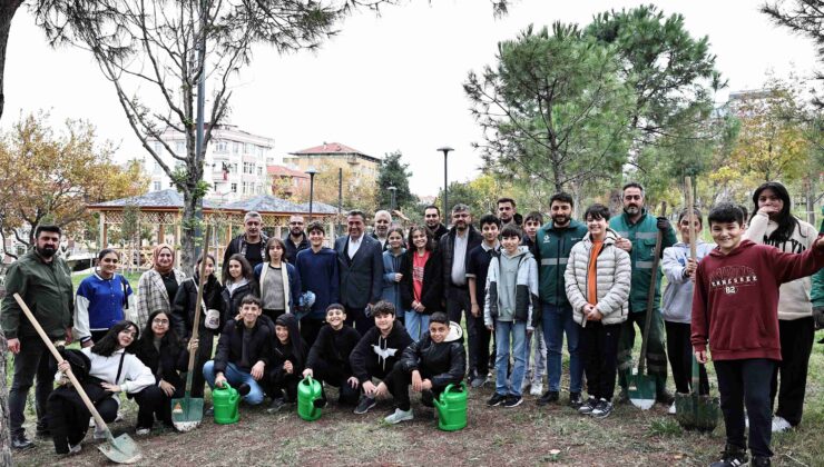 Millet Bahçesi’ne 30 Fıstık Çamı Dikildi
