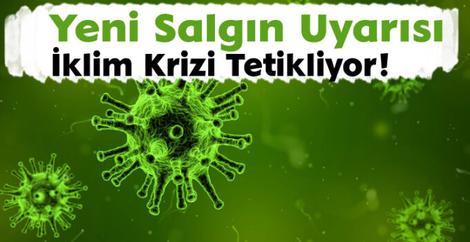Yeni Salgın Uyarısı: İklim Krizi Tetikliyor!