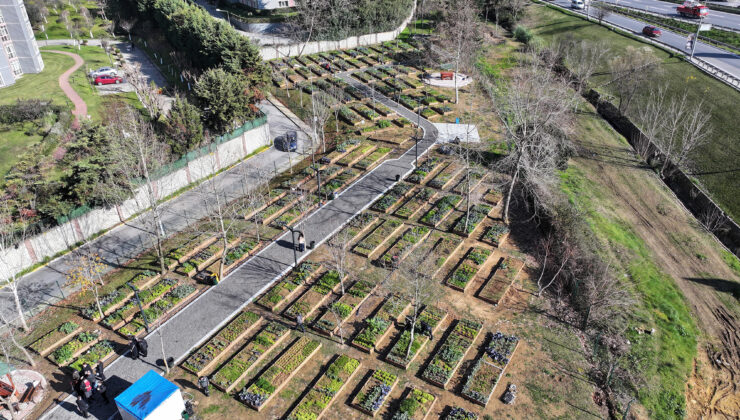 Kent Bostanları Ataşehir’de Yayılıyor