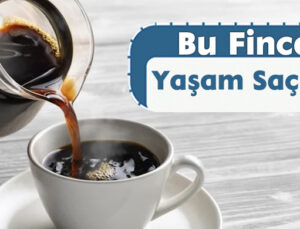 Bu Fincan Yaşam Saçıyor!