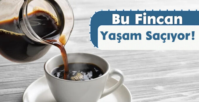 Bu Fincan Yaşam Saçıyor!