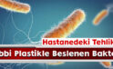Hastanedeki Tehlike! Tıbbi Plastikle Beslenen Bakteri