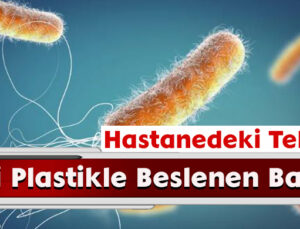 Hastanedeki Tehlike! Tıbbi Plastikle Beslenen Bakteri
