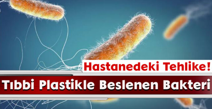 Hastanedeki Tehlike! Tıbbi Plastikle Beslenen Bakteri