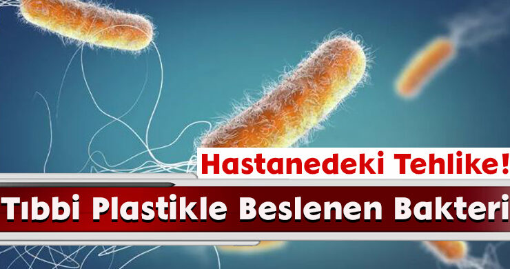 Hastanedeki Tehlike! Tıbbi Plastikle Beslenen Bakteri