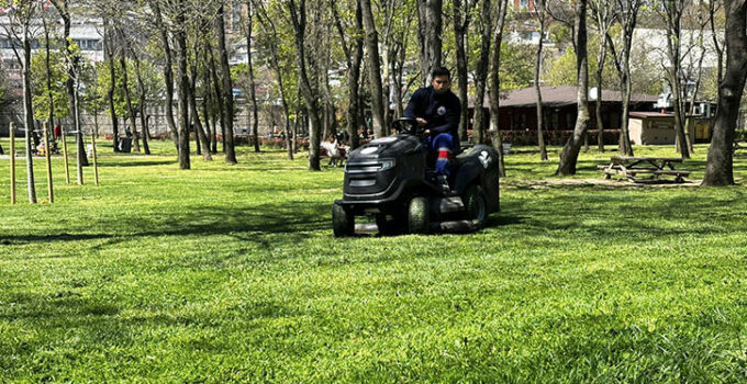 Kâğıthane’de Yeşil Alanlarda Bakım Çalışmaları