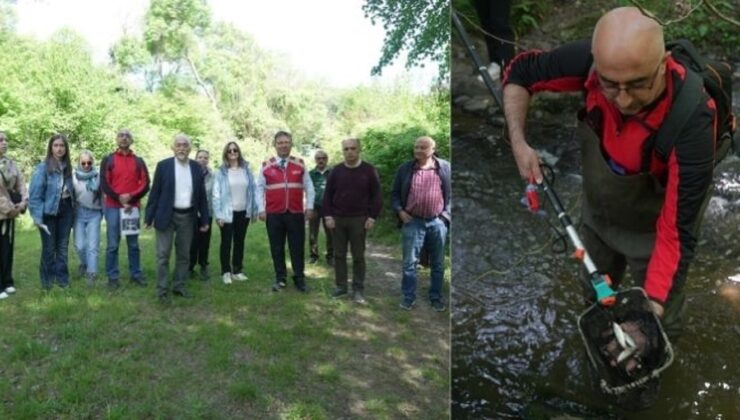 “Plastiksiz İstanbul Dereleri” Projesi Başladı
