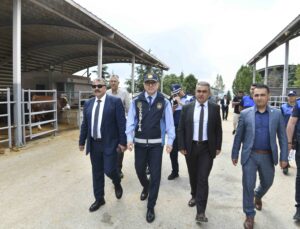 Ankara’da Kurban Satış ve Kesim Alanlarına Denetim