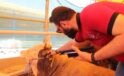 İstanbul Kurban Bayramına Hazırlanıyor