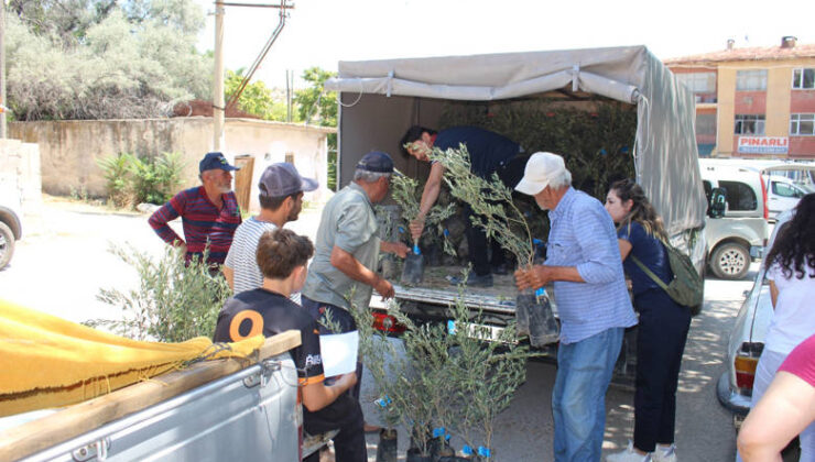 Antalya’da 19 İlçeye 40 Bin Zeytin Fidanı Desteği