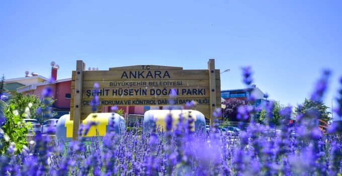Başkent Lavanta Kokuyor