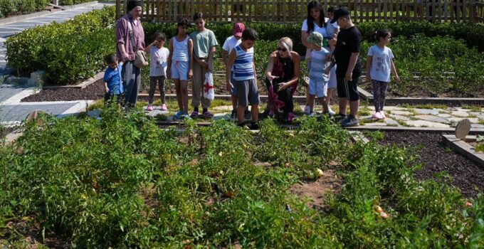 “Çocuk Tarım Parkı”nda Engelleri Aştılar