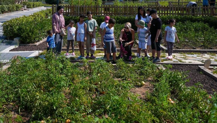 “Çocuk Tarım Parkı”nda Engelleri Aştılar