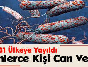 31 Ülkeye Yayıldı: Binlerce Kişi Can Verdi