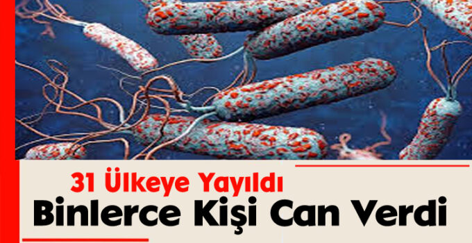 31 Ülkeye Yayıldı: Binlerce Kişi Can Verdi