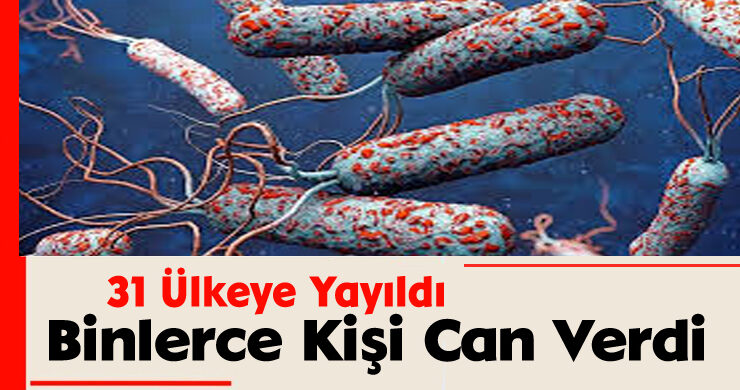 31 Ülkeye Yayıldı: Binlerce Kişi Can Verdi