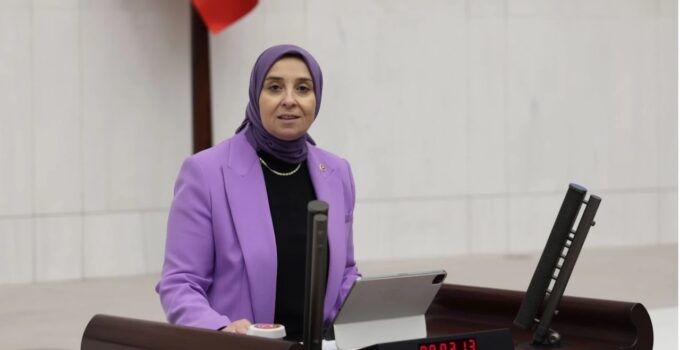 “Gençler, Eğlence Mekânlarına Nasıl Girebiliyor Girebiliyor?”