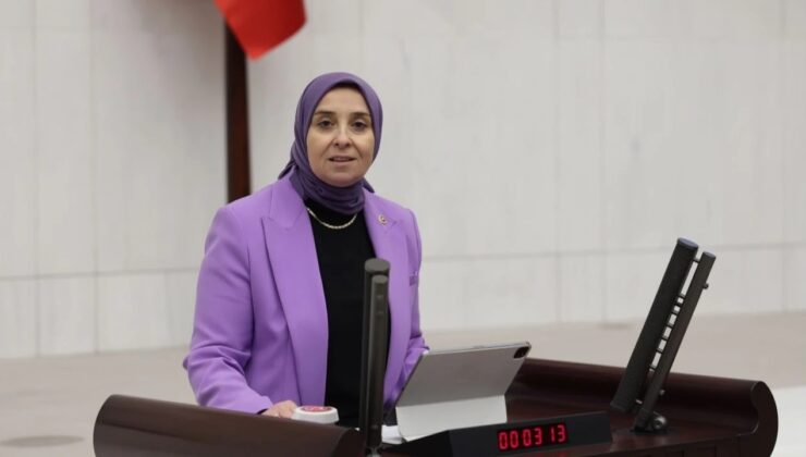 “Gençler, Eğlence Mekânlarına Nasıl Girebiliyor Girebiliyor?”
