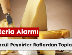 Listeria Alarmı: Ölümcül Peynirler Raflardan Toplatılıyor