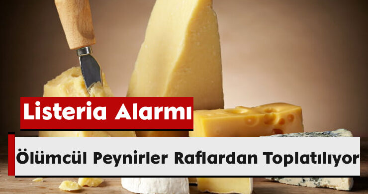 Listeria Alarmı: Ölümcül Peynirler Raflardan Toplatılıyor