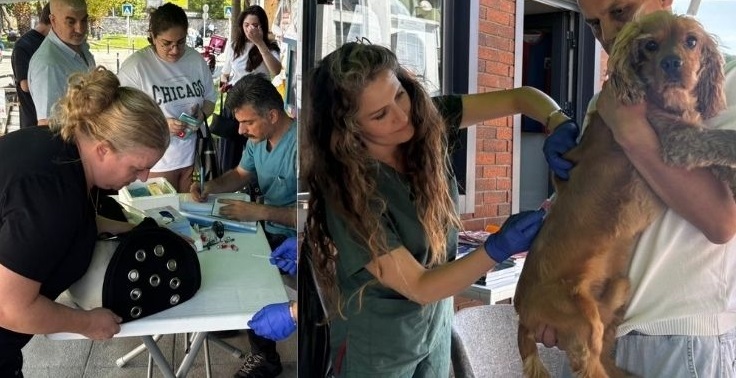 Sarıyer’de Ücretsiz Kuduz Aşısı Kampanyası Başladı