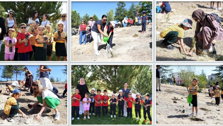 “Uyum Haftası” Kapsamında Fidan Dikimi Etkinliği Düzenlendi