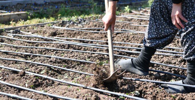 Mamak’ta Ata Tohumu Çalışmaları Sürüyor