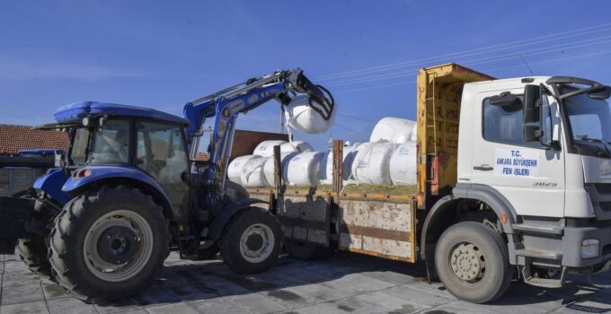 ABB, Mısır Silajı Desteği İle Üreticilerin Yanında Olmaya Devam Ediyor