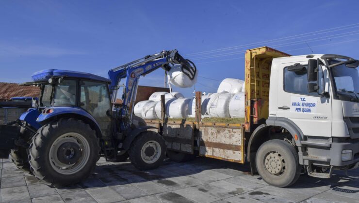 ABB, Mısır Silajı Desteği İle Üreticilerin Yanında Olmaya Devam Ediyor