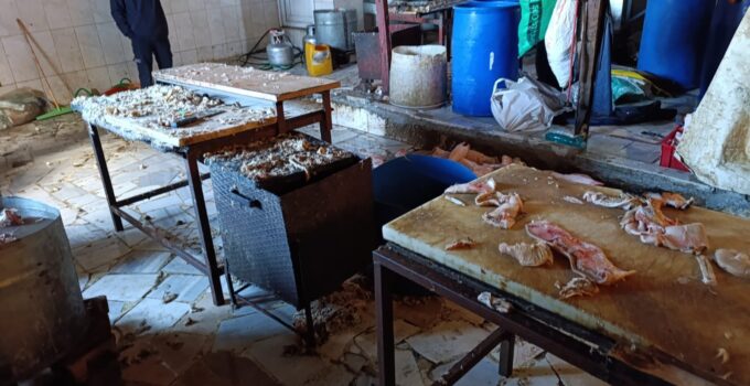 Eyüpsultan’da Ruhsatsız Hayvan Ayağı İşleme Tesisi Mühürlendi