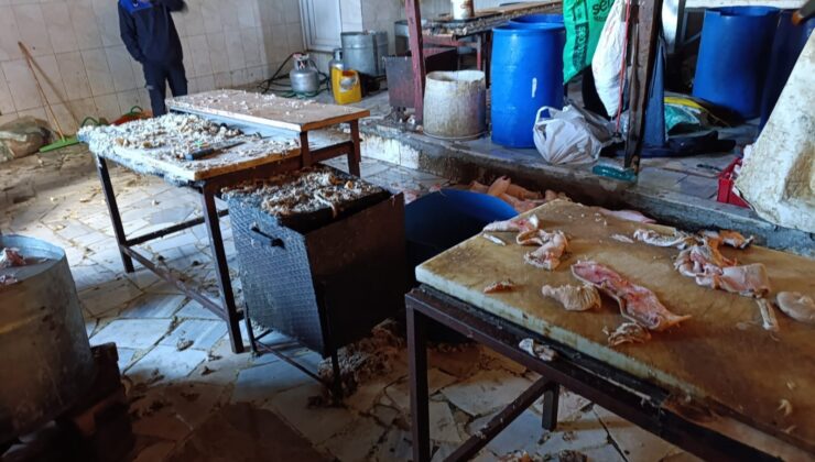 Eyüpsultan’da Ruhsatsız Hayvan Ayağı İşleme Tesisi Mühürlendi