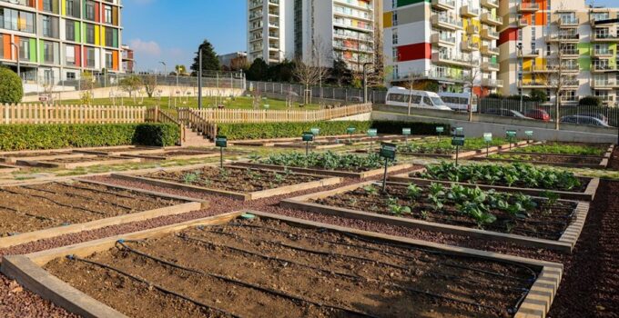 Maltepe’nin Çifte Ödüllü “Çocuk Tarım Parkı”na AB’den Tam Not