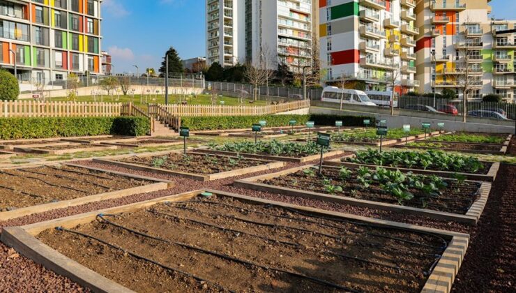 Maltepe’nin Çifte Ödüllü “Çocuk Tarım Parkı”na AB’den Tam Not