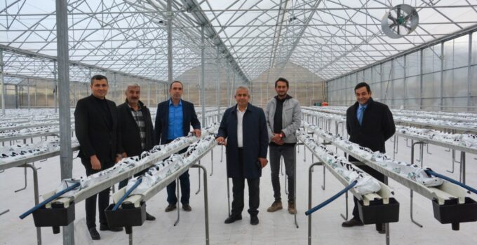 Termal Sera İle Verimli Üretim Başlıyor